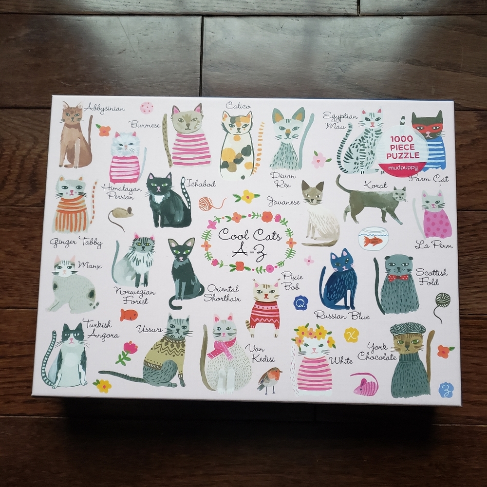 New 1000 Piece Cat Puzzle🐈